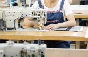 Sewing line assembling pet carriers